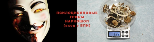 стаф Алзамай