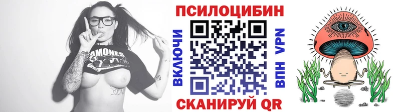 Галлюциногенные грибы Psilocybe  Петропавловск-Камчатский 